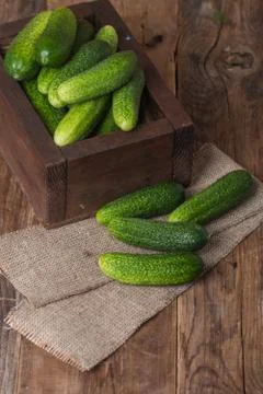 Cucumbers in a box Stock Photos