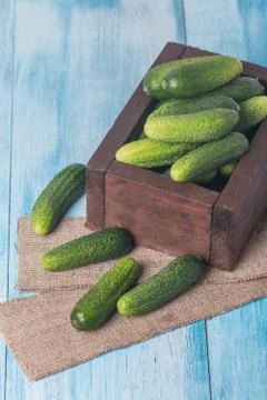 Cucumbers in a box Stock Photos
