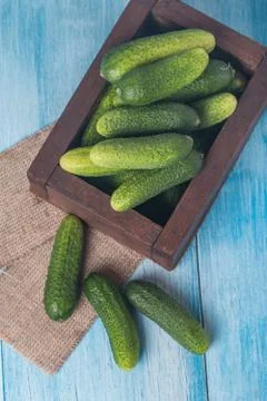 Cucumbers in a box Stock Photos