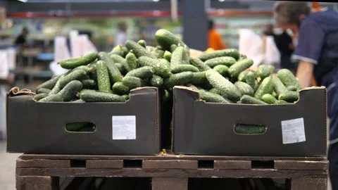 Cucumbers in boxes on display in the vegetable section of a grocery store. Fresh Stock-Footage 312670612