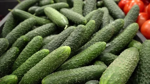 Cucumbers close-up on the counter of a store, market. Cucumber harvest. Stock Footage 232219082