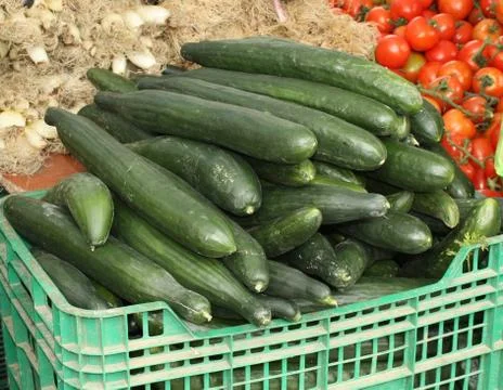 Cucumbers in crate Stock Photos