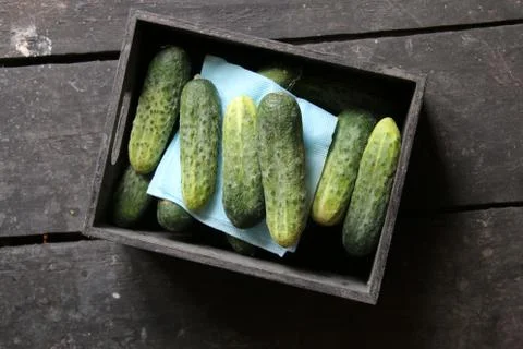 Cucumbers in a drawer Stock Photos