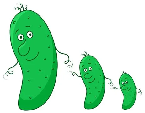 Cucumbers, family Stock Illustration