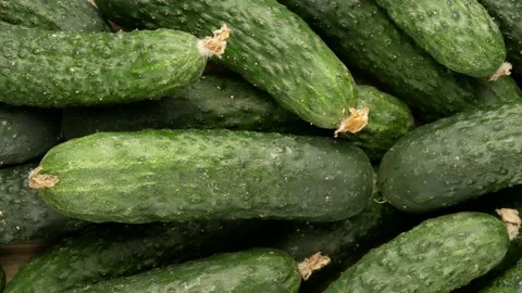 Cucumbers with flowers - background. Stock Footage 137980637