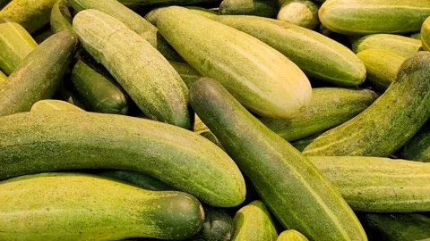 Cucumbers Video stock 316359140