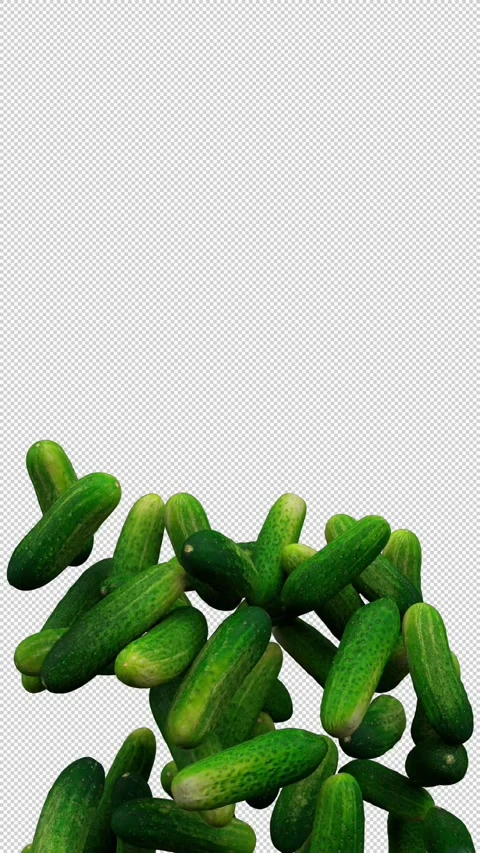 Cucumbers fountain – 3d render with alpha channel. Stock Footage 340971840