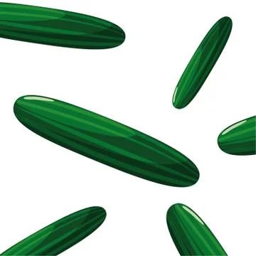 Cucumbers fresh vegetable white background Stock Illustration