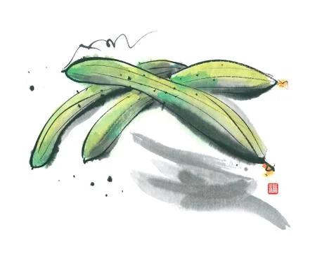 Cucumbers Stock Illustration