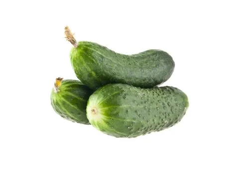 Cucumbers isolated on white background closeup Stock Photos
