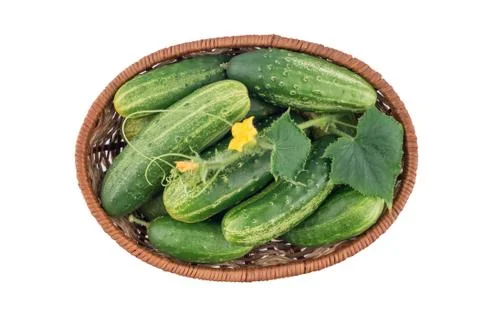 Cucumbers isolated on white background. Stock Photos