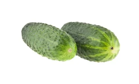 Cucumbers isolated on white background Stock Photos