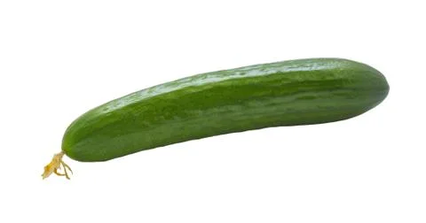 Cucumbers isolated on white . Stock Photos