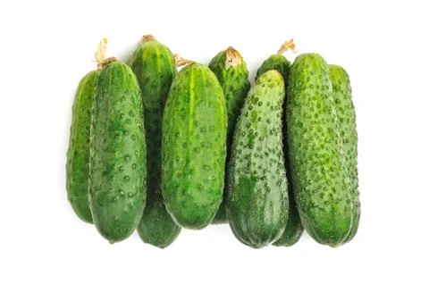 Cucumbers isolated on white Stock Photos