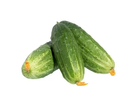 Cucumbers isolated on white. Stock Photos