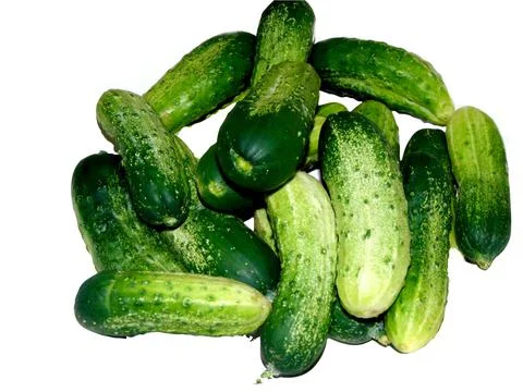 Cucumbers isolated on white - vegetable Stock Photos