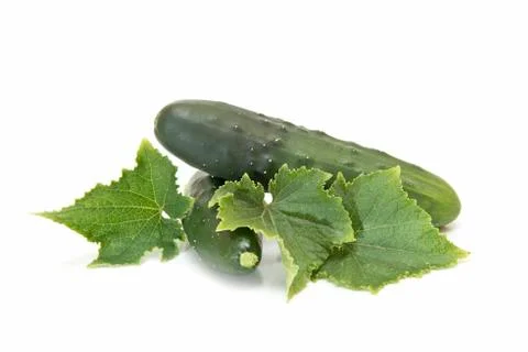 Cucumbers with leaves Foto stock