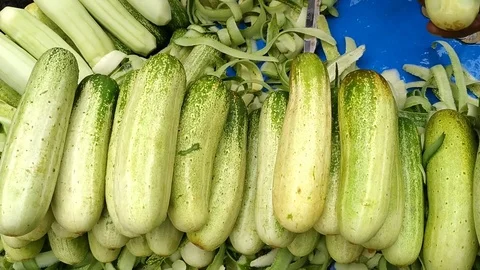 Cucumbers in Market Stock Footage 127107351