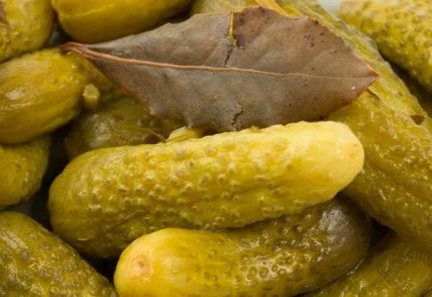 Cucumbers Stock Photos