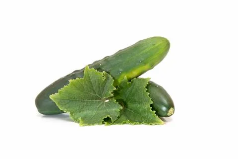 Cucumbers Stock Photos