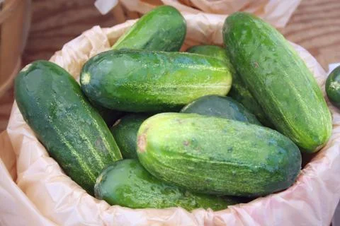 Cucumbers Stock Photos