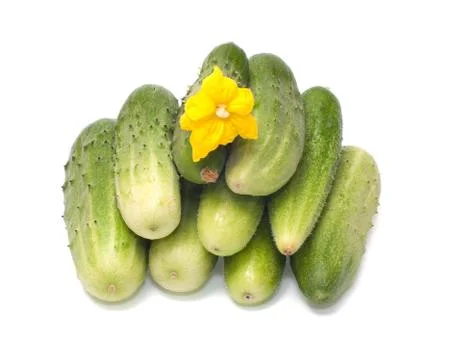 Cucumbers. Stock Photos