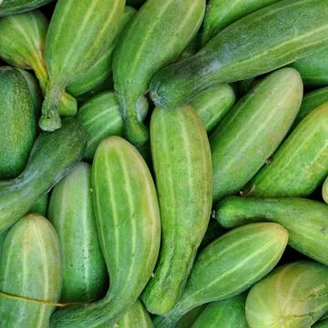 Cucumbers Stock Photos