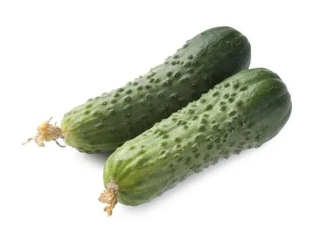 Cucumbers Stock Photos