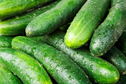Cucumbers Stock Photos