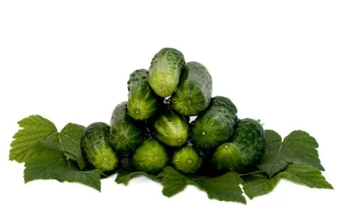 Cucumbers. Stock Photos