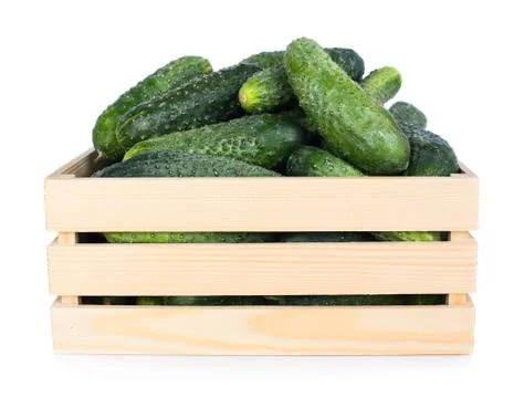 Cucumbers Stock Photos