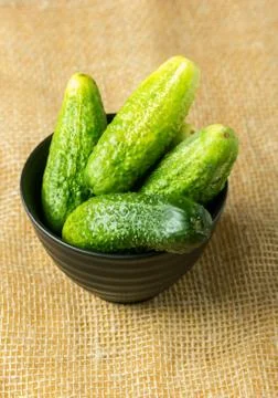 Cucumbers Stock Photos
