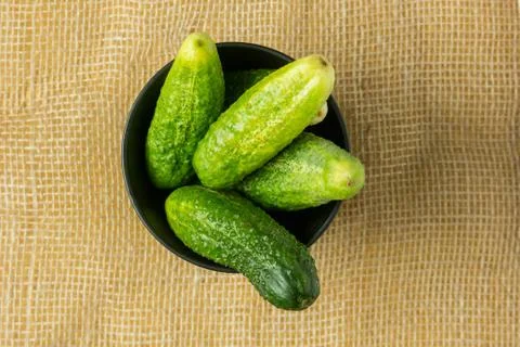 Cucumbers Stock Photos