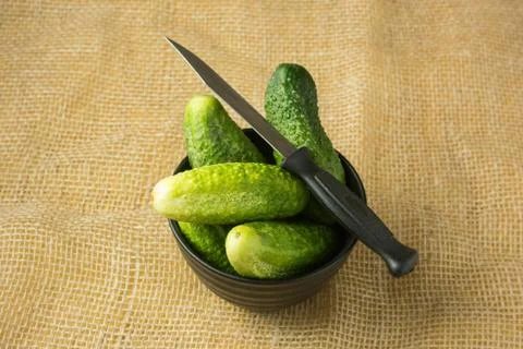 Cucumbers Stock Photos