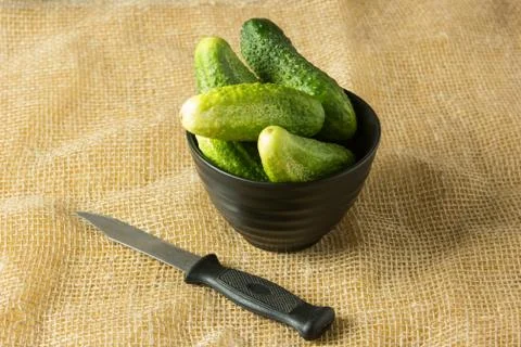 Cucumbers Stock Photos