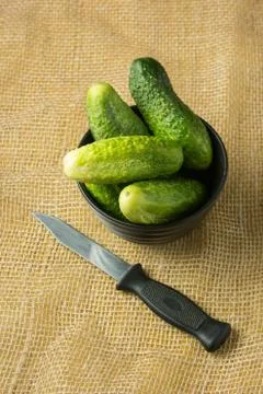Cucumbers Stock Photos