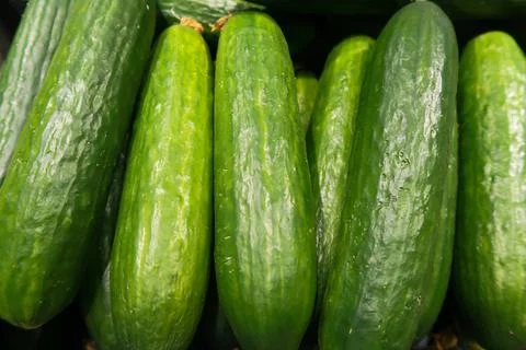 Cucumbers Stock Photos