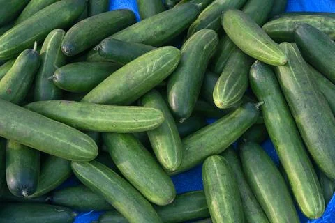 Cucumbers Stock Photos