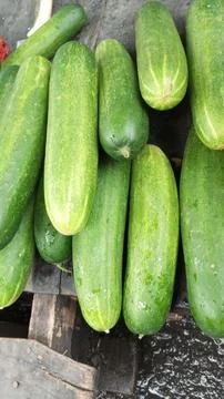 Cucumbers Stock Photos