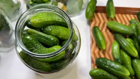 Cucumbers for Pickling Stock Footage 313363637