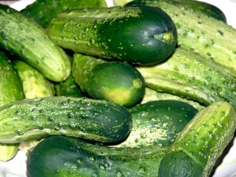 Cucumbers on a plate - vegetable Stockfoto's