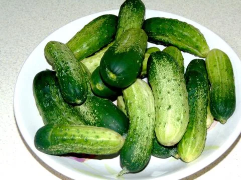 Cucumbers on a plate - vegetable Stock Photos