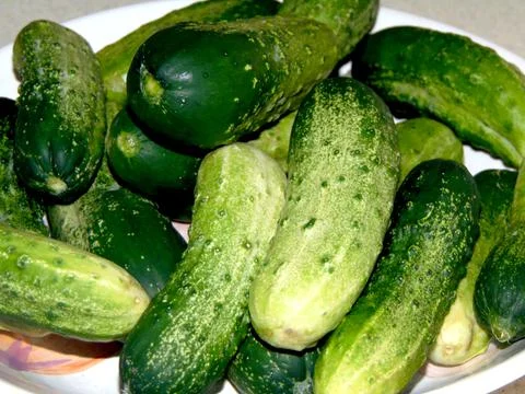Cucumbers on a plate - vegetable 库存照片