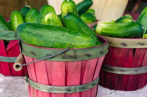 Cucumbers in red baskets Stock Photos