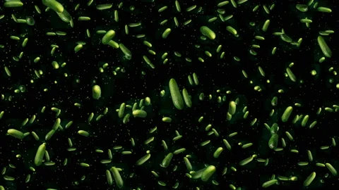 Cucumbers rotate and fall on a black background. Video stock 136771708