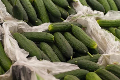 Cucumbers on shelf in store closeup Foto stock