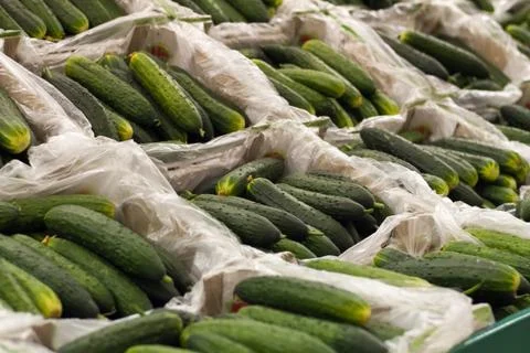 Cucumbers on shelf in store Foto stock