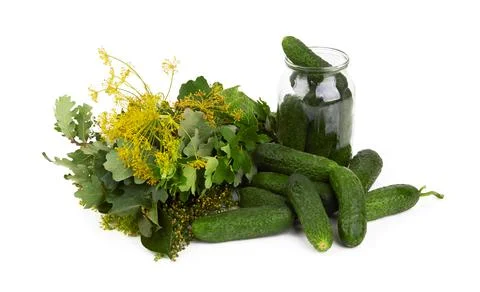 Cucumbers on a white background Stock Photos