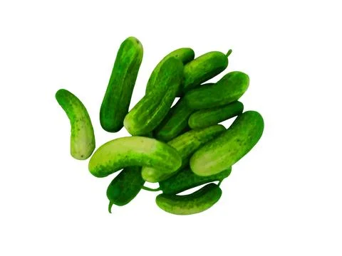 Cucumbers on a white background 스톡 사진