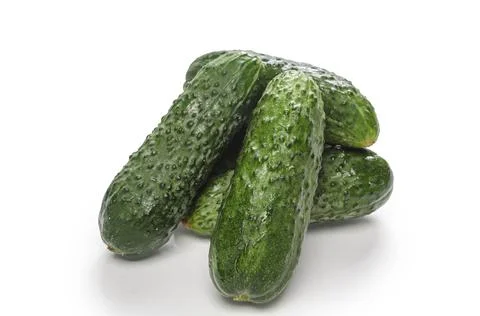 Cucumbers on white background with soft shadow Stock Photos